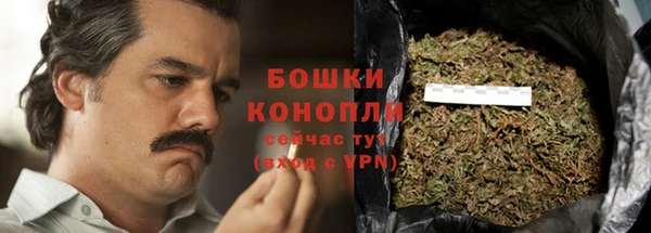 гидра Горняк