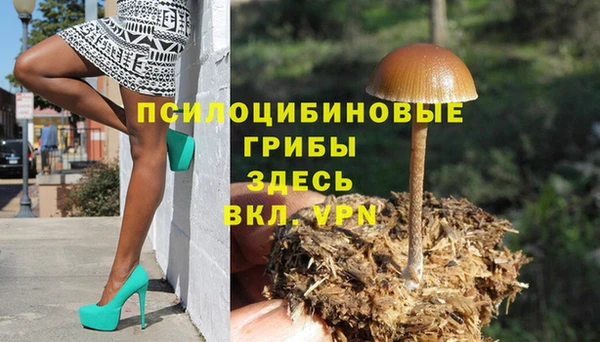 гидра Горняк