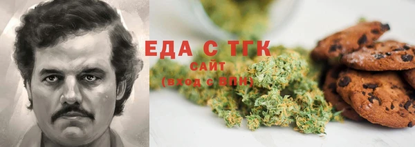гидра Горняк
