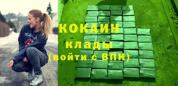 гидра Горняк