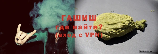 гидра Горняк