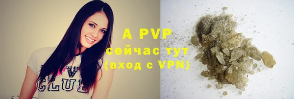Альфа ПВП Горнозаводск