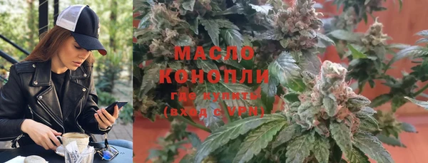 гидра Горняк