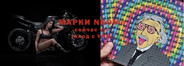гидра Горняк