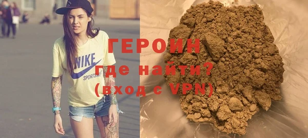 гидра Горняк