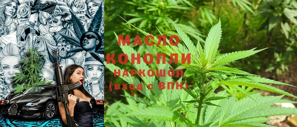 гидра Горняк